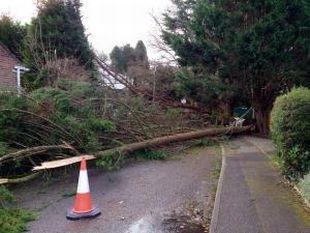 Daily Echo reader photos of the storm and damage left behind after severe weather swept through Dorset on February 14 and February 15. Picture from Richard Baxter of Carroll Close, Branksome