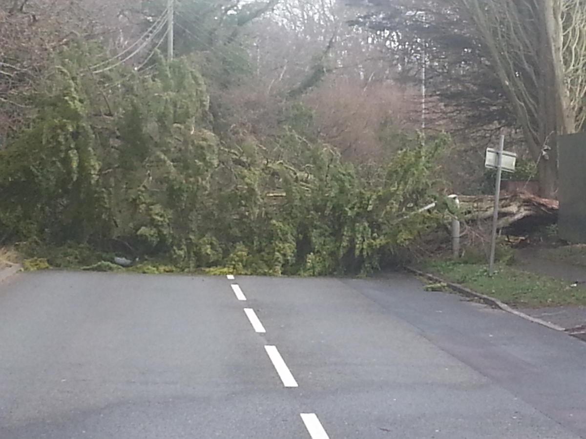 Daily Echo reader photos of the storm and damage left behind after severe weather swept through Dorset on February 14 and February 15. Picture from Nigel Cook of Ringwood Road, Walkford