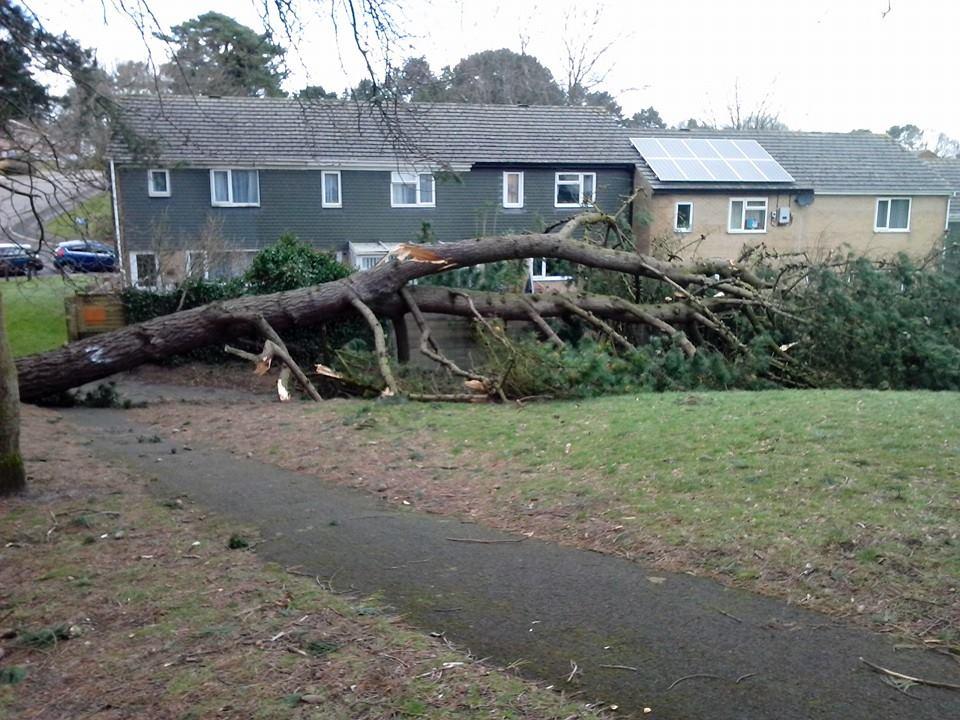 Daily Echo reader photos of the storm and damage left behind after severe weather swept through Dorset on February 14 and February 15. Picture by Simon Beever of Littlemore Avenue