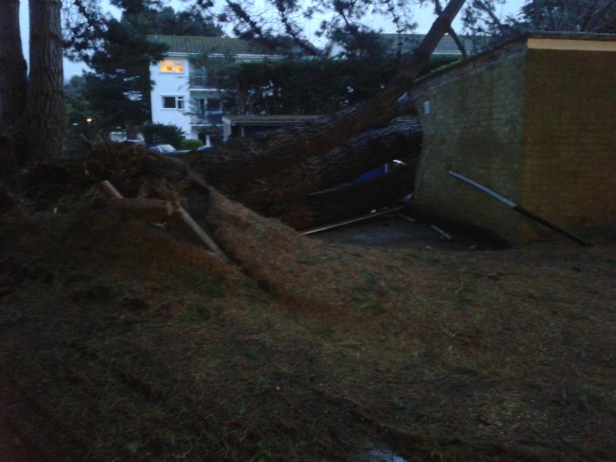 Daily Echo reader photos of the storm and damage left behind after severe weather swept through Dorset on February 14 and February 15. Picture sent by Ferenc Hovart of garage in Sandbanks