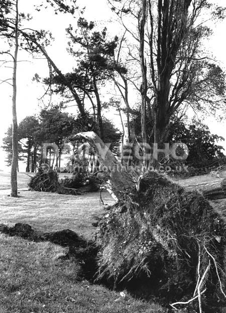 The damage in King's Park after the 1987 storm.
