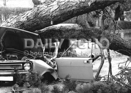 In Springbourne a tree fell on a car in the 1990 gales.