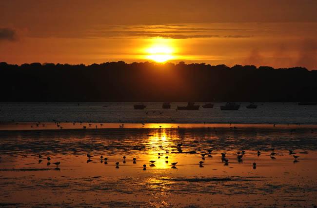 Entries in the under 21s category of the Daily Echo and Poole Harbour Commissioners photographic competition