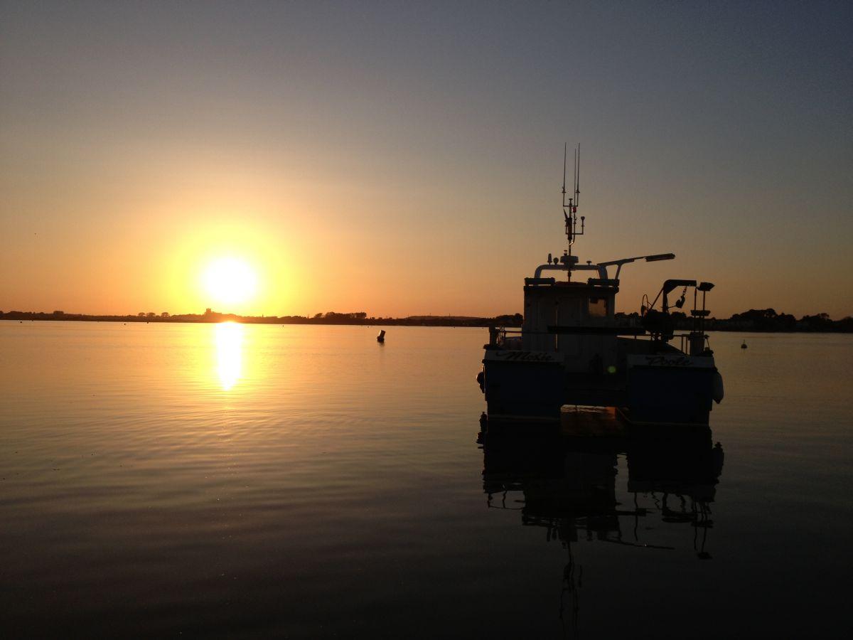 Picture by Simon Helliwell from Christchurch Harbour
