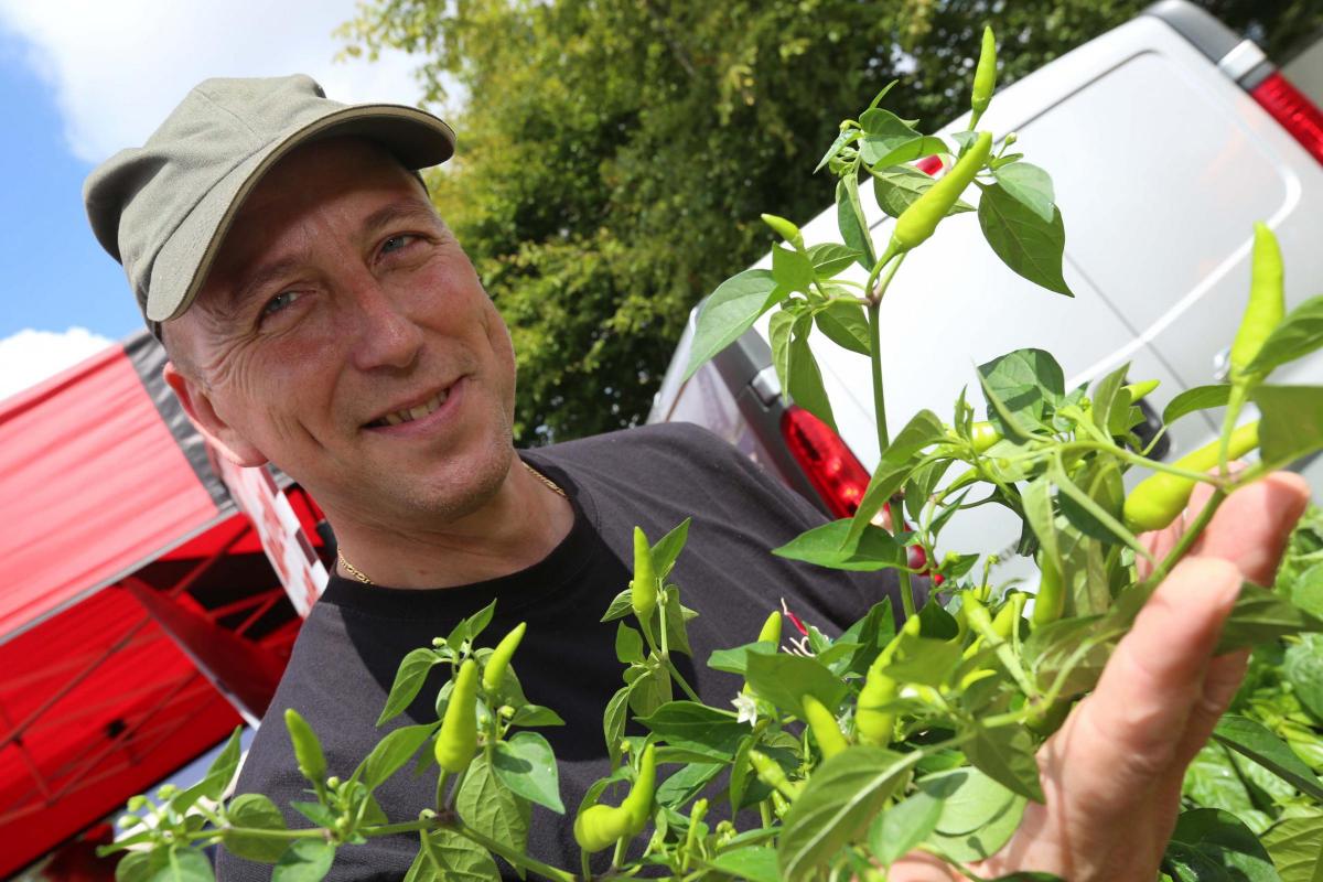 Pictures from the Great Dorset Chilli Festival over the weekend of August 2 and 3, 2014 at St Giles House, Wimborne St Giles. 