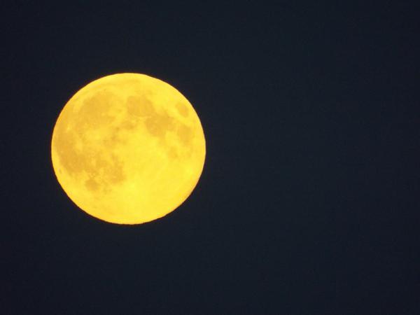 Supermoon over North Dorset. Picture by Lesley Meaker. 