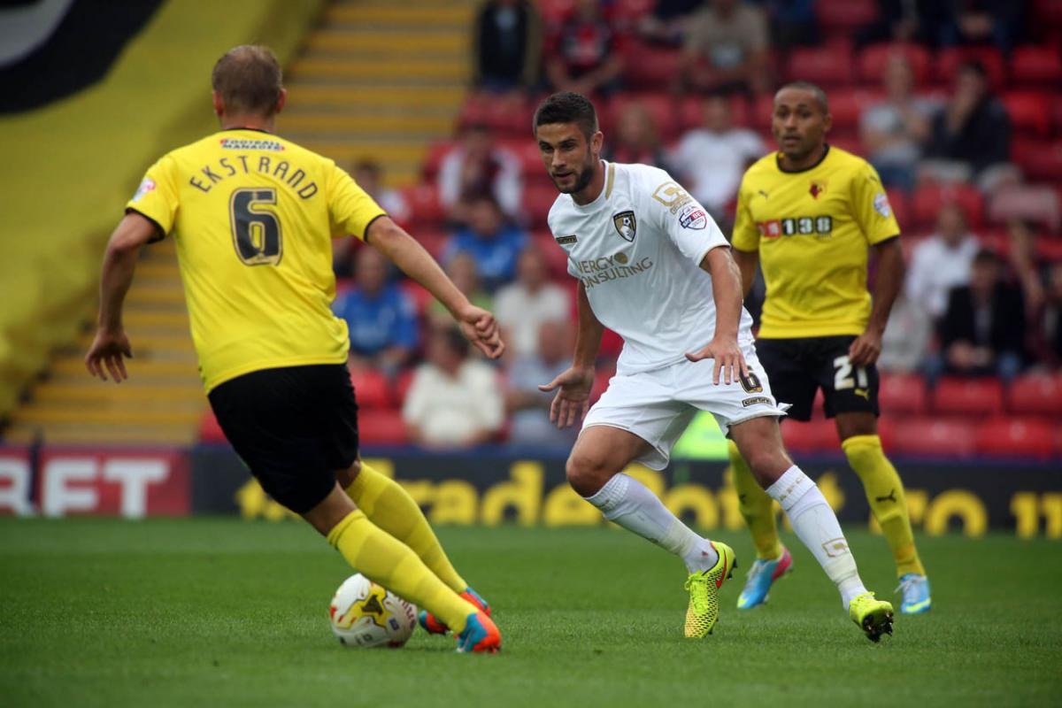 All our pictures of Watford v AFC Bournemouth on Saturday, September 20 2014. Pictures by Jon Beal.