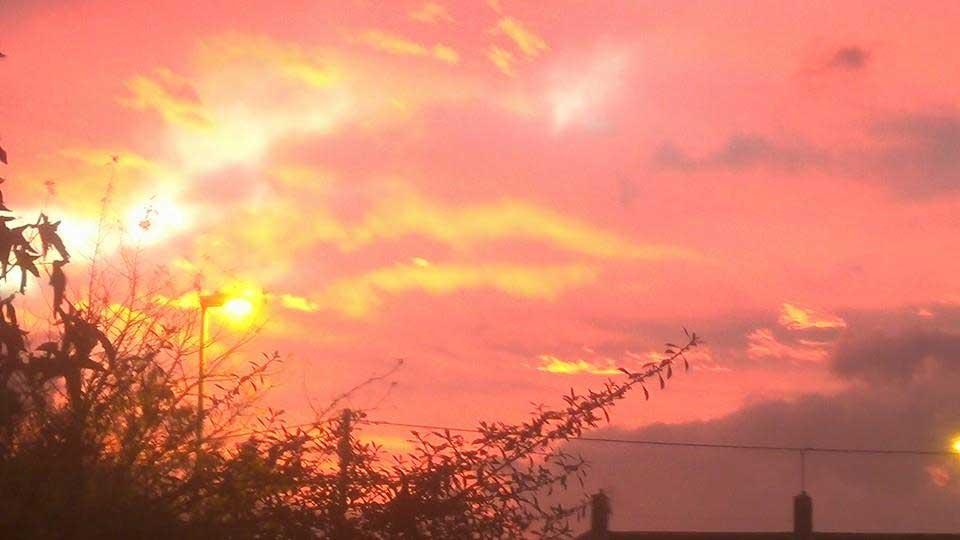 Pink sky over Blandford taken by Sarah Marshallsay