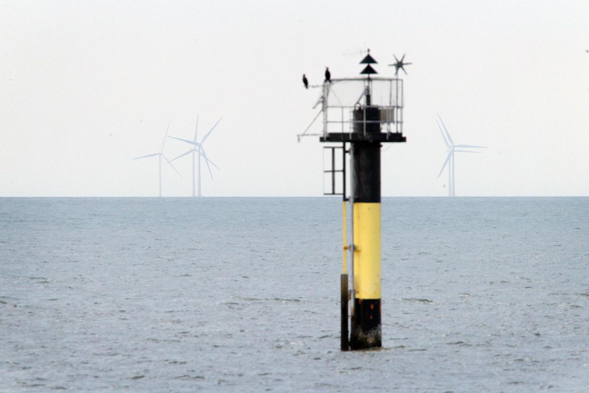 We went to Margate to see what it's like living with a wind farm