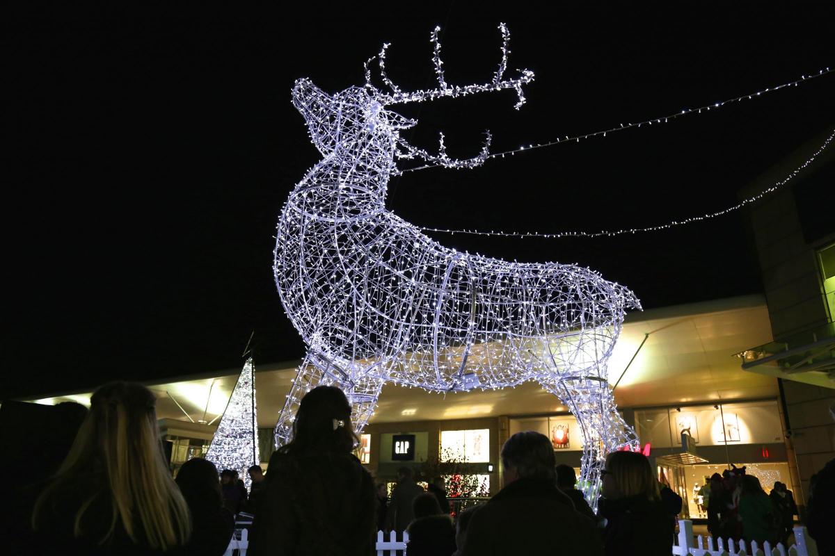 All our pictures of Castlepoint's Christmas light switch-on by Sam Sheldon.