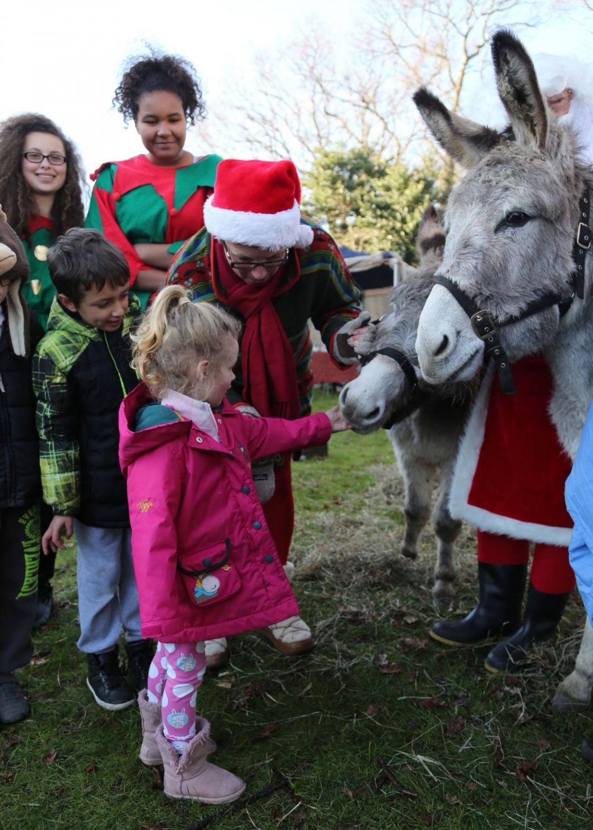All our pictures from Southbourne's Christmas on the Green event