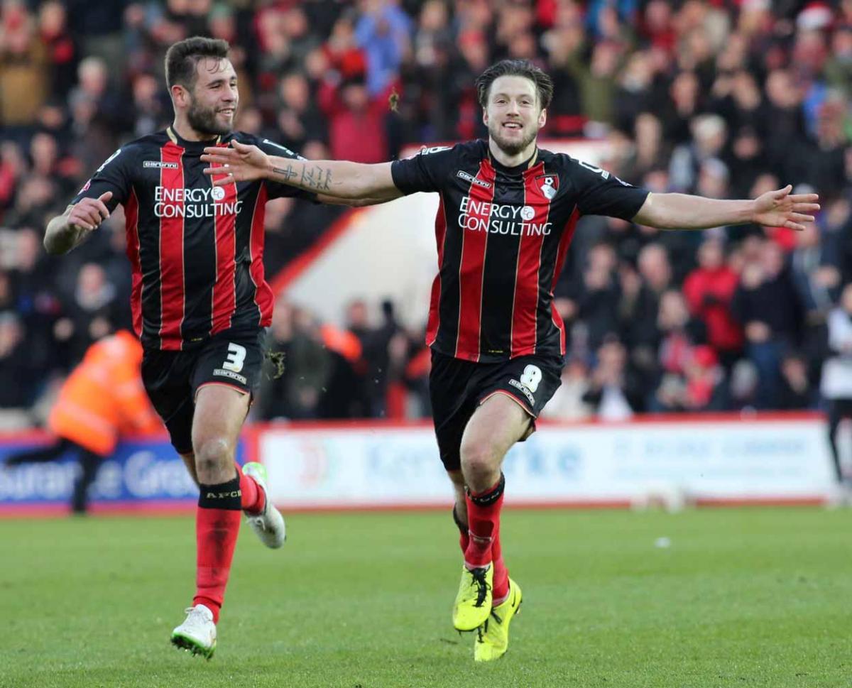 All our pictures from AFC Bournemouth v Cardiff at the Goldsands Stadium on Saturday, December 13, 2014 by Richard Crease.