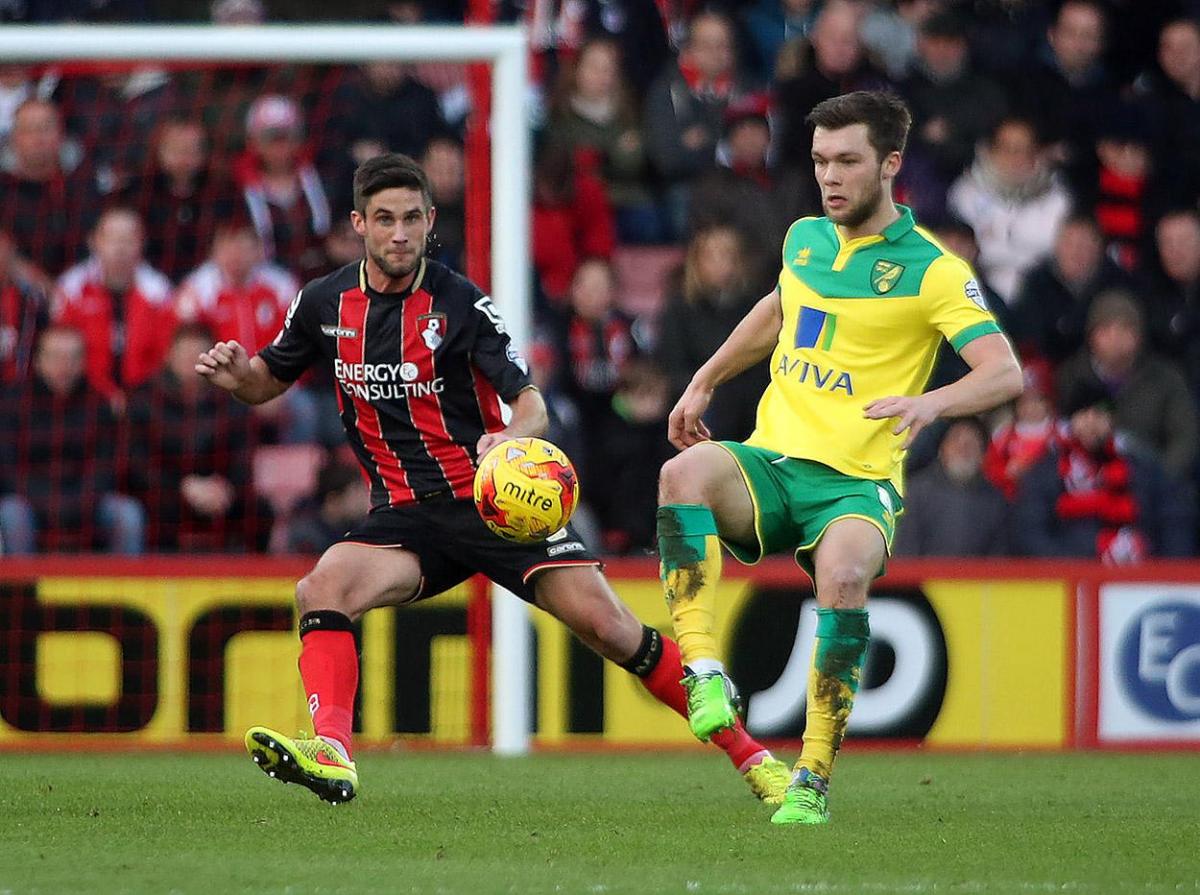 All our pictures of AFC Bournemouth v Norwich City on January 10, 2015. 