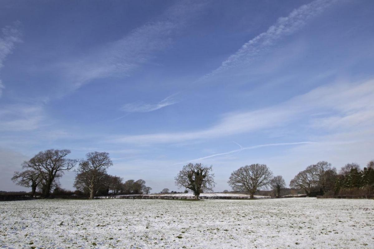 Snow scenes in Organford. picture by Sam Sheldon.