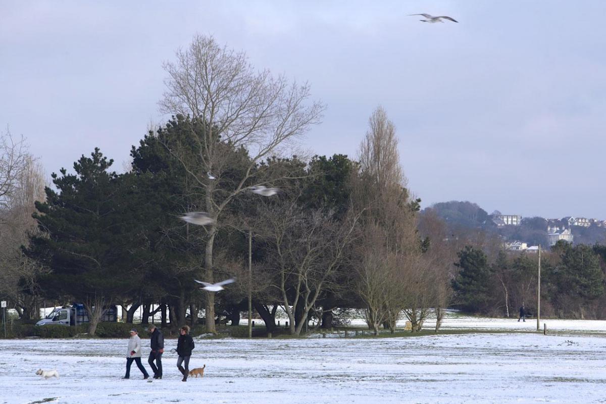 Snow scenes at Baiter Park. Picture by Sam Sheldon.