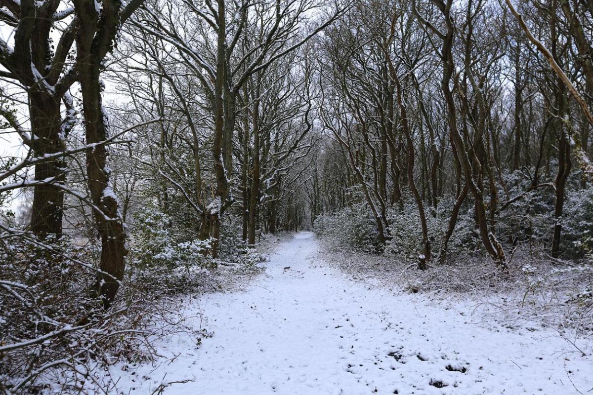Snowy scenes in Upton. picture by Sam Sheldon.
