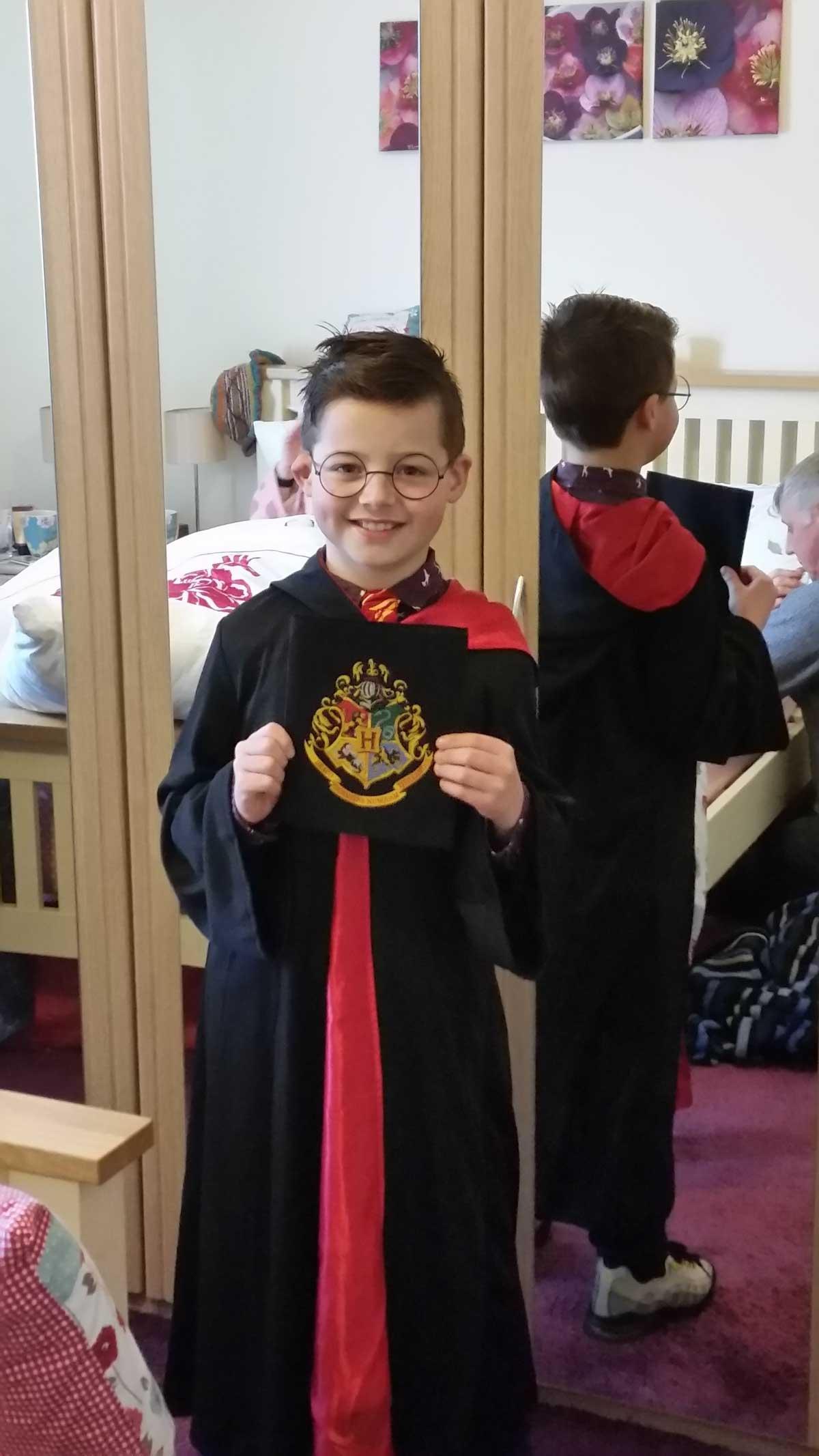 Taylor as Harry Potter
