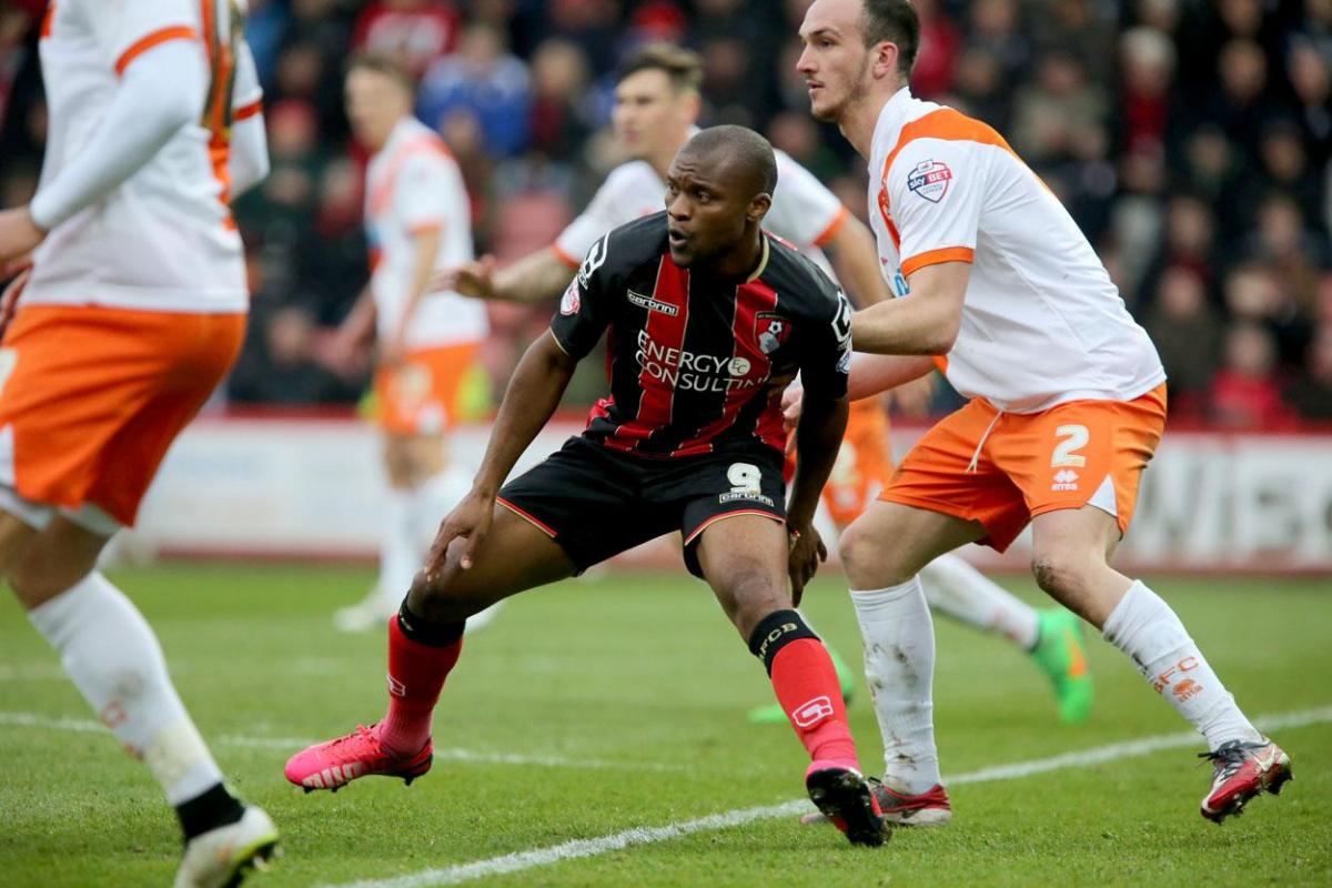 Pictures of AFC Bournemouth v Blackpool on Saturday March 14, 2015 by Corin Messer. 