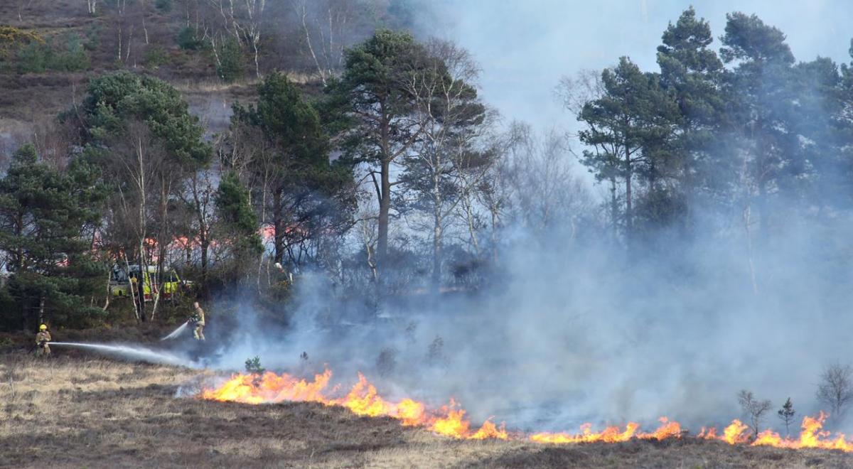Firefighters tackle a major heath fire at St Catherine's Hill on March 31, 2015. 