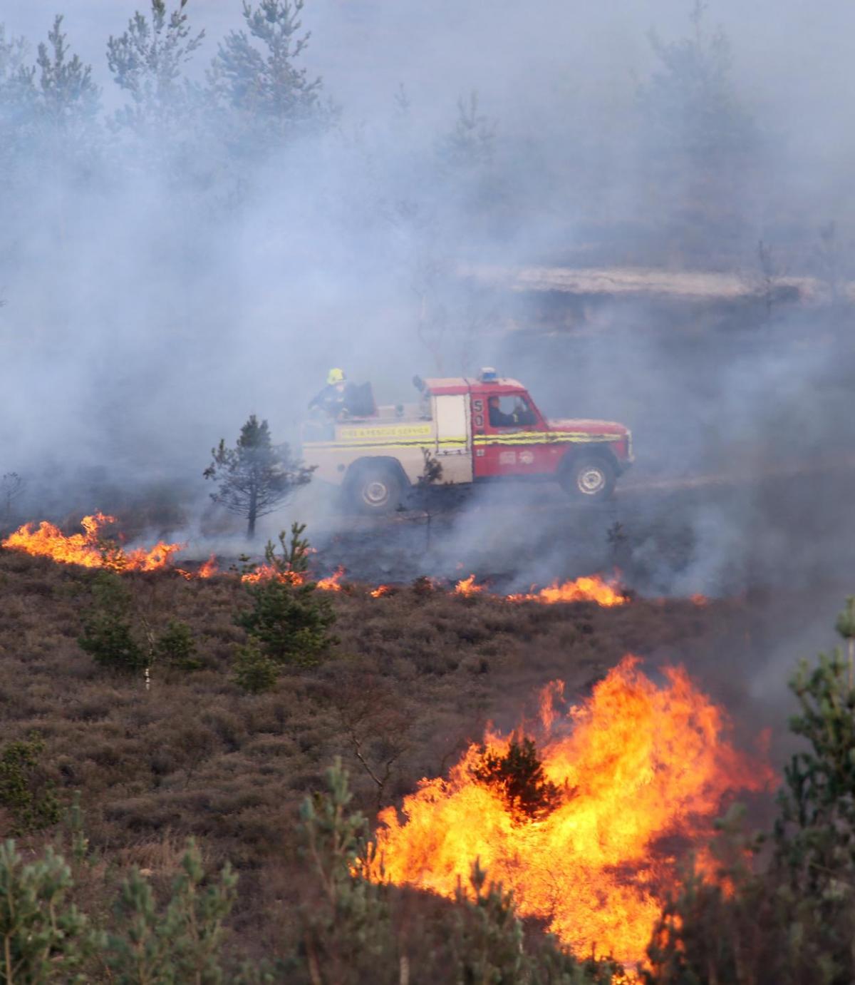 Firefighters tackle a major heath fire at St Catherine's Hill on March 31, 2015. 