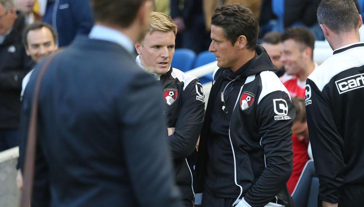 All the pictures of AFC Bournemouth at Brighton & Hove Albion on Friday April 10, 2015 by Corin Messer. 