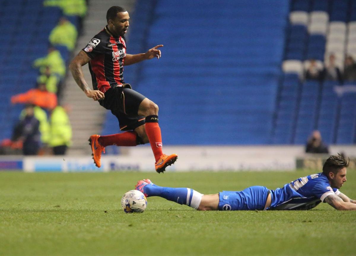 All the pictures of AFC Bournemouth at Brighton & Hove Albion on Friday April 10, 2015 by Corin Messer. 