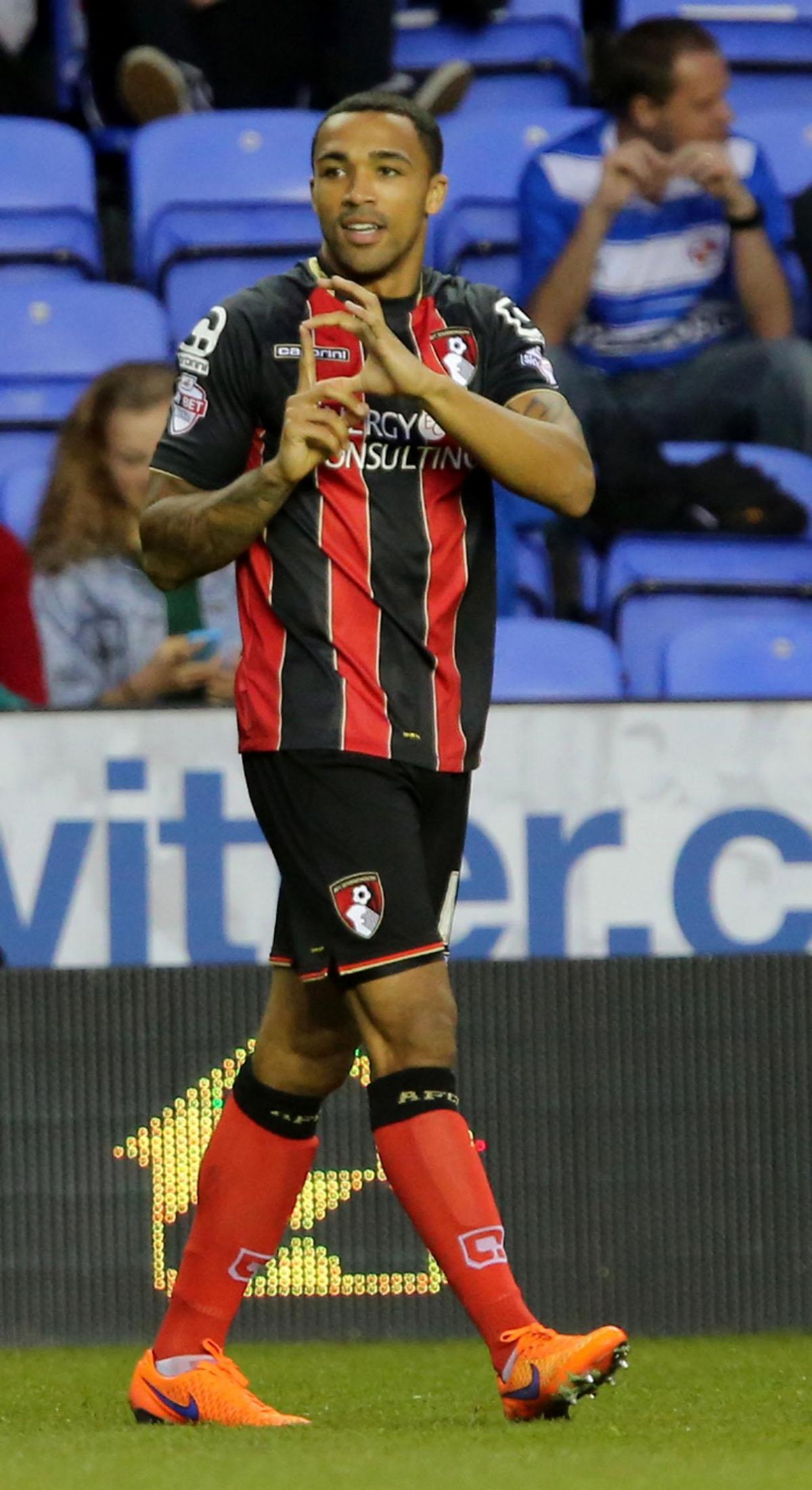 All the pictures of Reading v AFC Bournemouth on Tuesday April 14, 2015 by Richard Crease