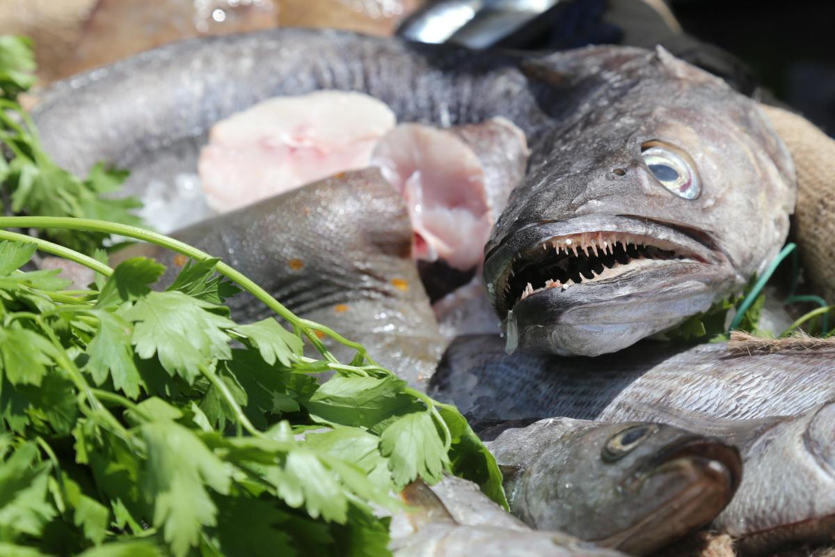 All the pictures from the 2015 Swanage Fish Festival 