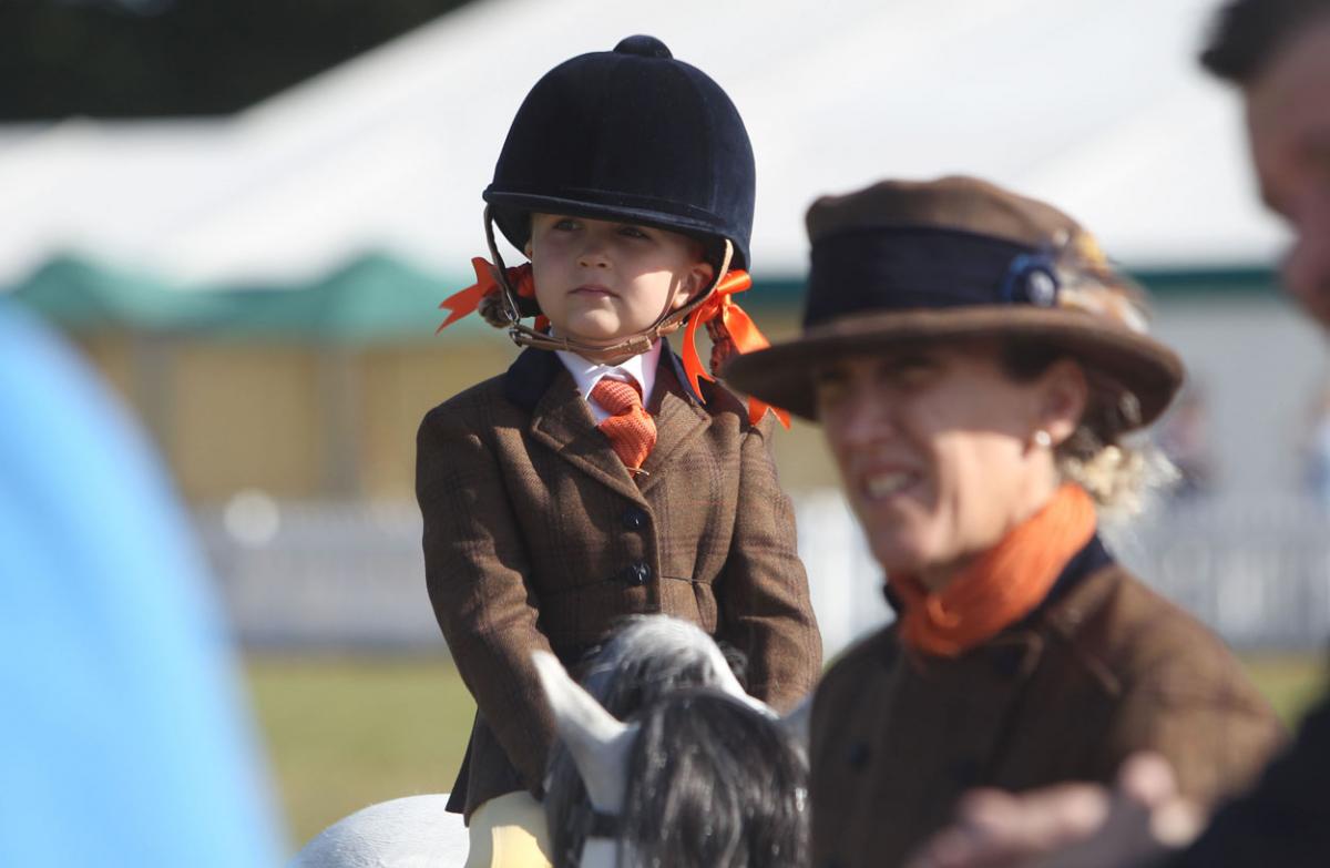 Day three of the 2015 New Forest Show. Pictures by Sam Sheldon. 