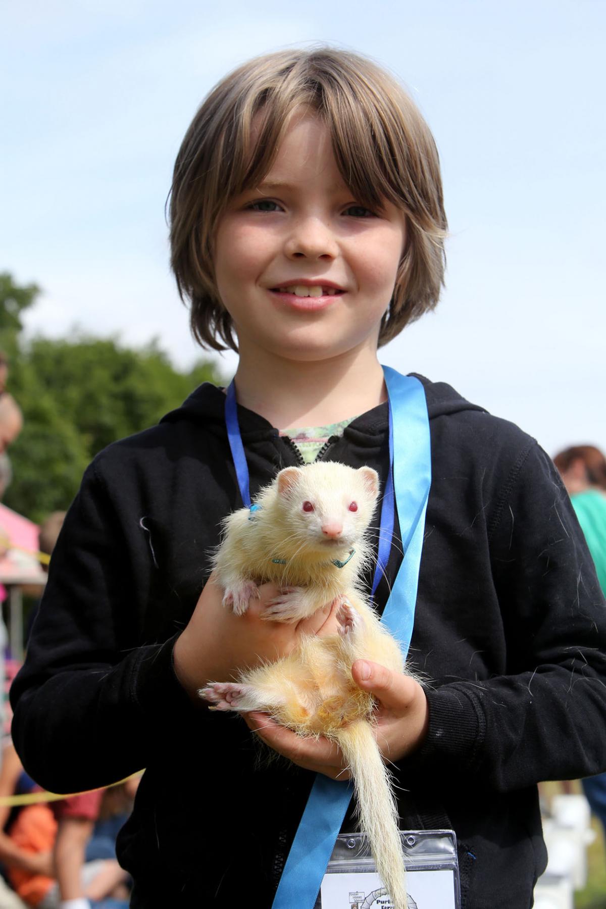 All the pictures from the 2015 Poole Town and Country Show. Pictures by Sam Sheldon