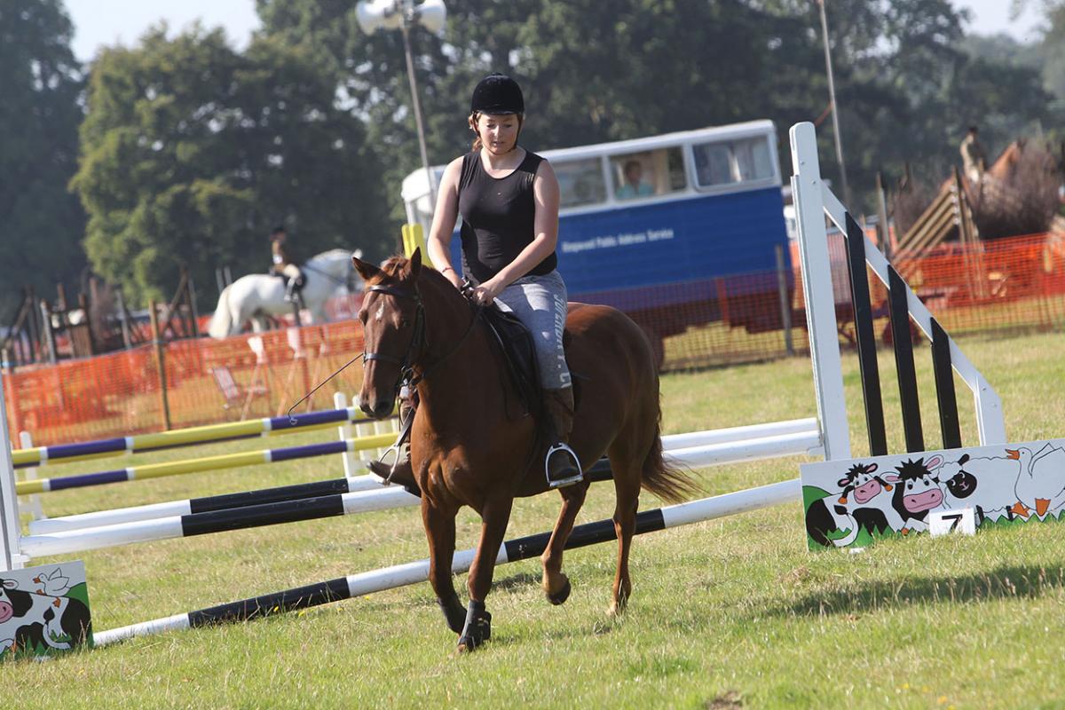 All the images from the Ellingham and Ringwood Show 2015