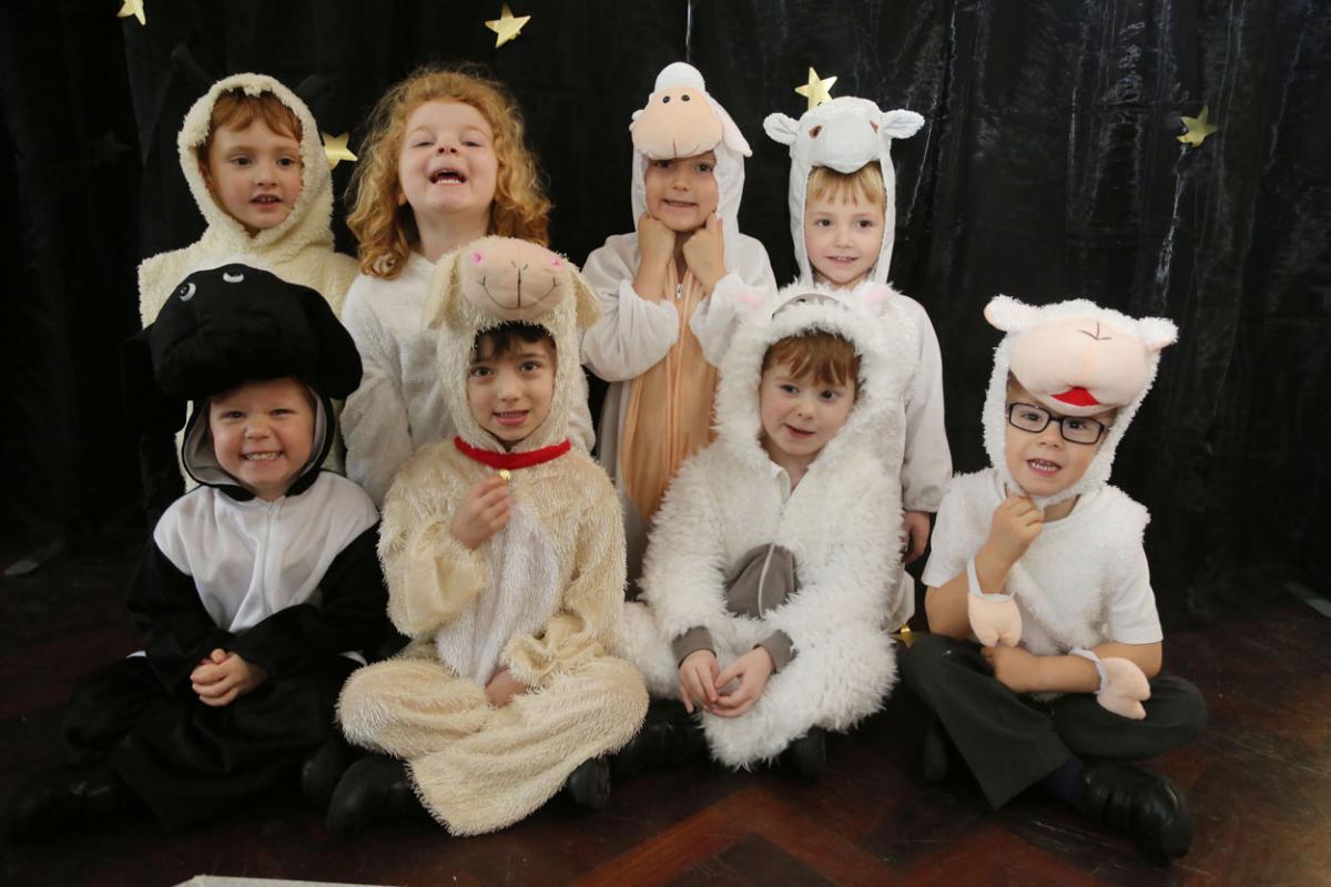 Pictures by Sam Sheldon. 25% off nativity photo prints,  just add echosave25 at the checkout