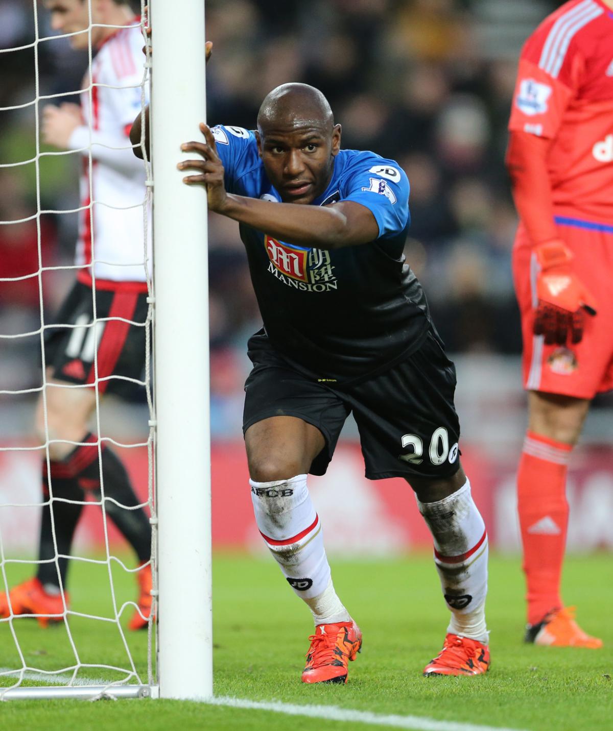 All the pictures from Sunderland AFC v AFC Bournemouth 