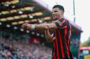 Dominic Solanke is your Micky Cave/Daily Echo AFC Bournemouth player of the year