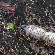 Plastic bottle pollution. Pic from Pixabay, no attribution required