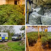 The large-scale cannabis grow was found on a farm in North Dorset