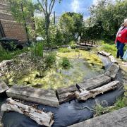 St Lukes CofE held a grand opening for its new barn and pond.