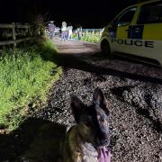 A pair of Dorset Police dogs are taking a well-needed rest after helping to track down four men after a fail-to-stop incident in Shaftesbury.