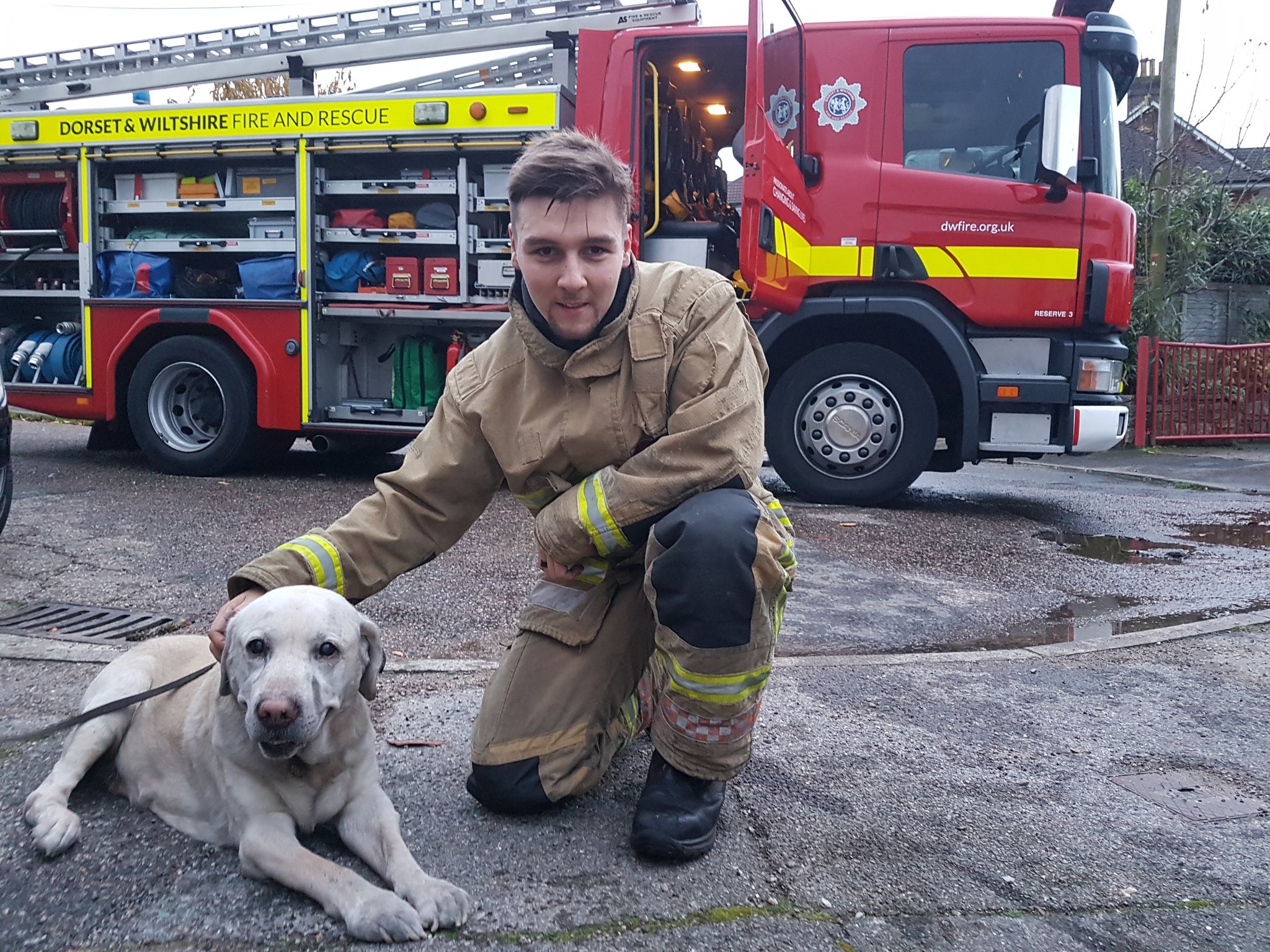 Firefighters rescue Labrador from Poole house after kitchen fire breaks out - Bournemouth Echo