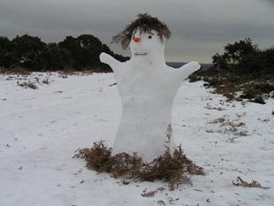 Snowman built on Wilverley Plain in The New Forest. Sent in by Neil and Elaine Goodrich of Bournemouth.