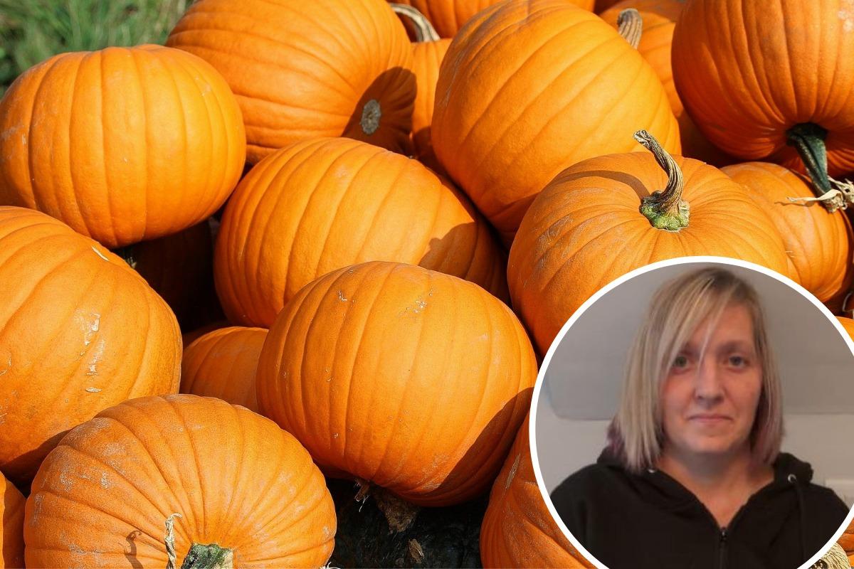 The Great Dorset Pumpkin Trail to take place for Halloween | Bournemouth  Echo