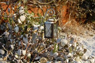 Lantern in the January snow. Sent in by Sue Fawcett.