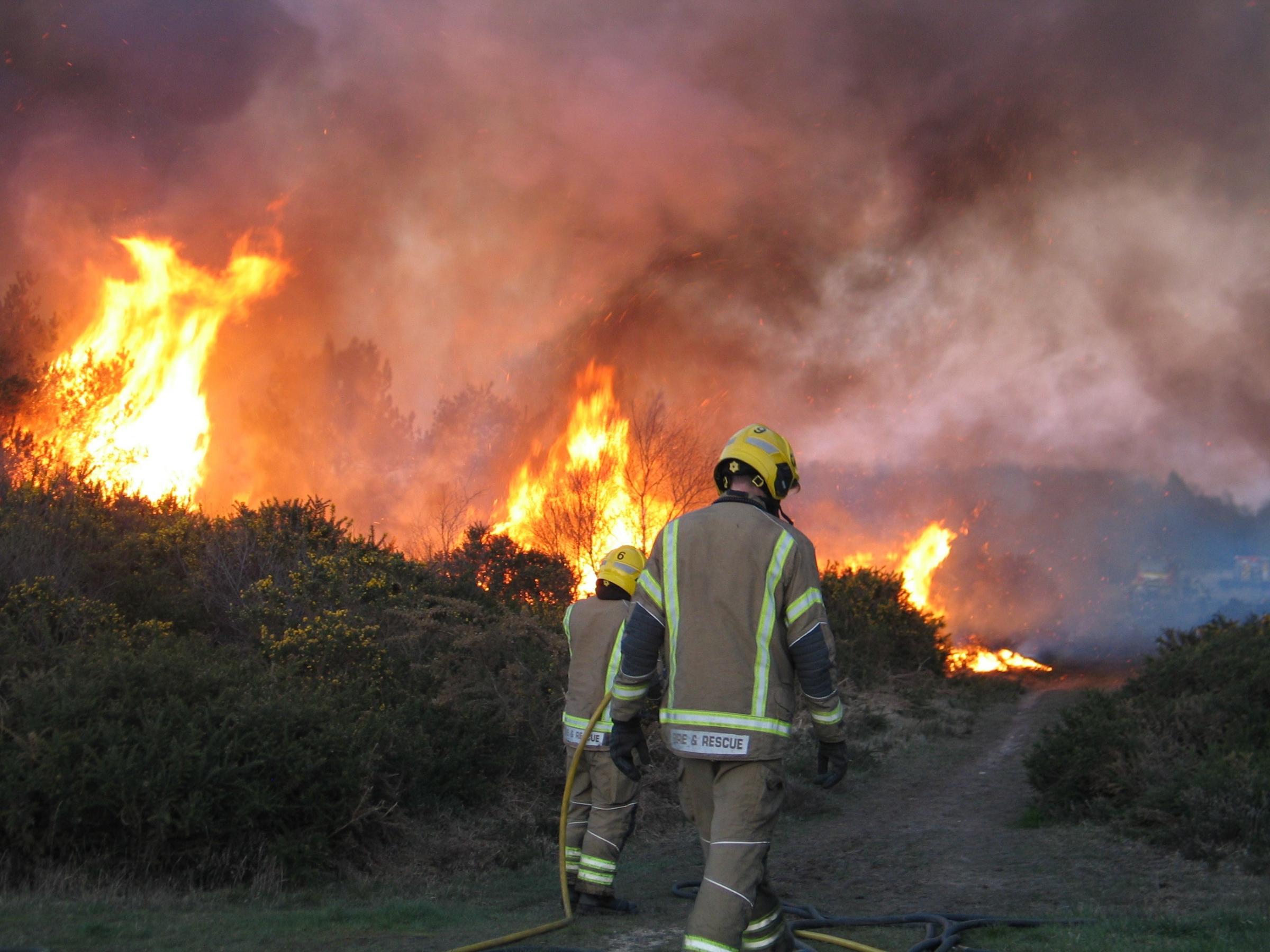 More than 50 firefighters tackled a large heathland fire at Whitesheet Plantation near Wimborne on Monday April 5 2020. Pictures: Simon Rowley