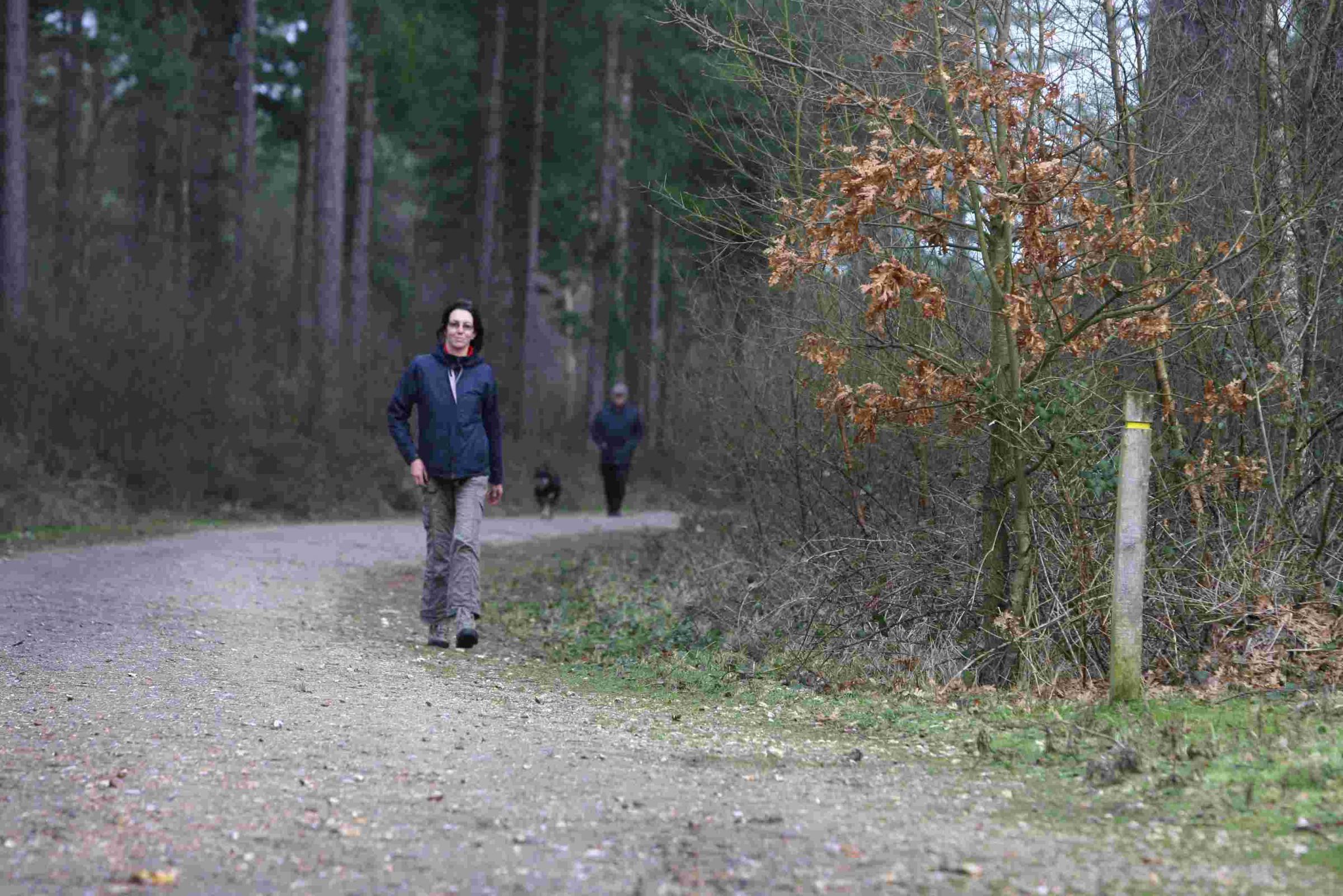 Pic Hattie Miles ... 07.02.11 ... pWarehamFor ... Stephanie Legg walking in Wareham Forest. Stephanie has established a campaign to fight the government sell off of woodland and forests.