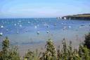 Nearly £200k to protect ecosystem in Studland Bay