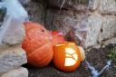 Dorset Council urges residents to eat pumpkins Picture: Dorset Council