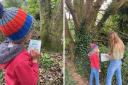 Children enjoying the Lodmoor Country Park Tree Trail Picture: Weymouth Town Council