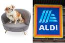 You can buy your pets their own sofa and chairs in Aldi (Aldi/PA)