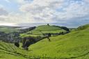 Abbotsbury has been named as the best spot in the country for a sunny staycation