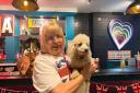 Doggy King Fling event at Revolution Bournemouth organised by Dorset Dogs